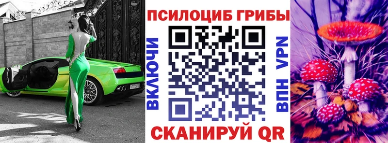 Галлюциногенные грибы Psilocybe  Купить закладки  Менделеевск 
